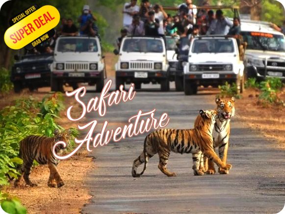 Jim Corbett Safari Tour Package